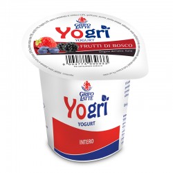 Yogurt Frut. Bosco Grifo 125gr