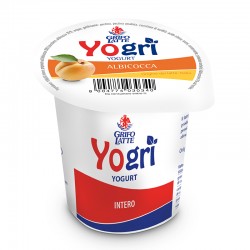 Yogurt Albicocca Grifo 125gr.