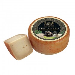 Testa Nera Stag. 1/2 Sv Norcia